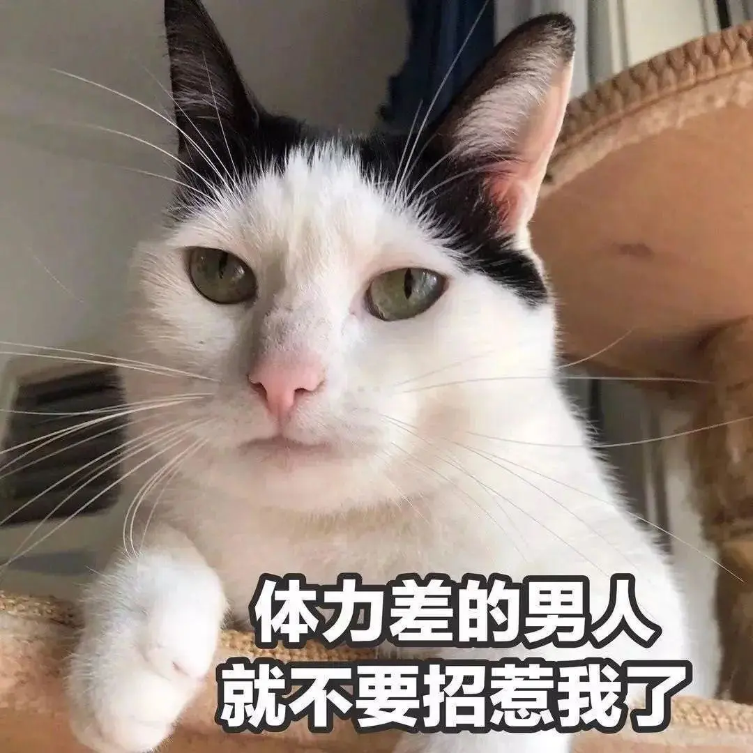 可爱猫猫，在线发sao～ 疯狂调戏勾引 ?