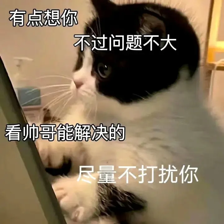 可爱猫猫，在线发sao～ 疯狂调戏勾引 ?