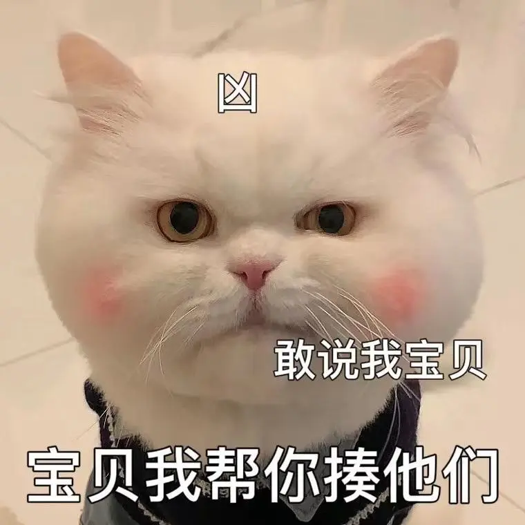 可爱猫猫，在线发sao～ 疯狂调戏勾引 ?