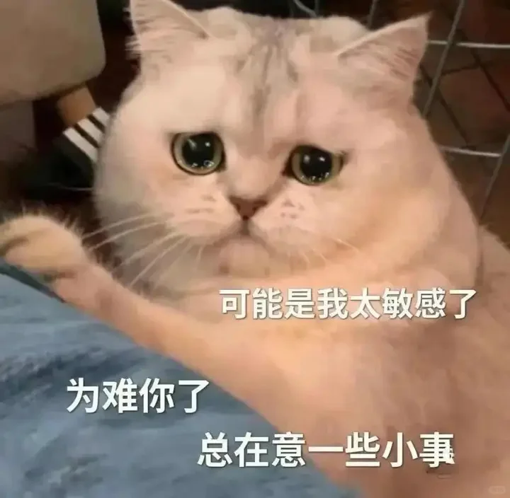 可爱猫猫，在线发sao～ 疯狂调戏勾引 ?