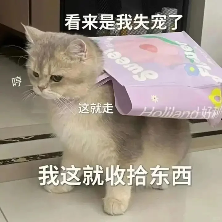 可爱猫猫，在线发sao～ 疯狂调戏勾引 ?