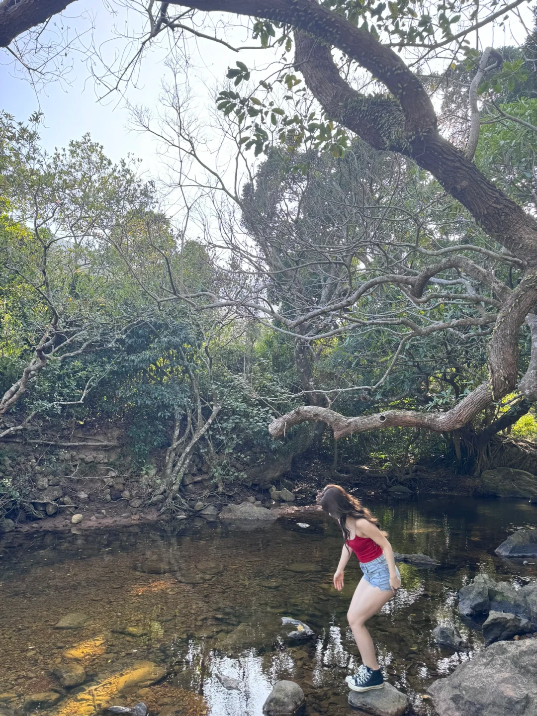 深圳鹿嘴山庄能处