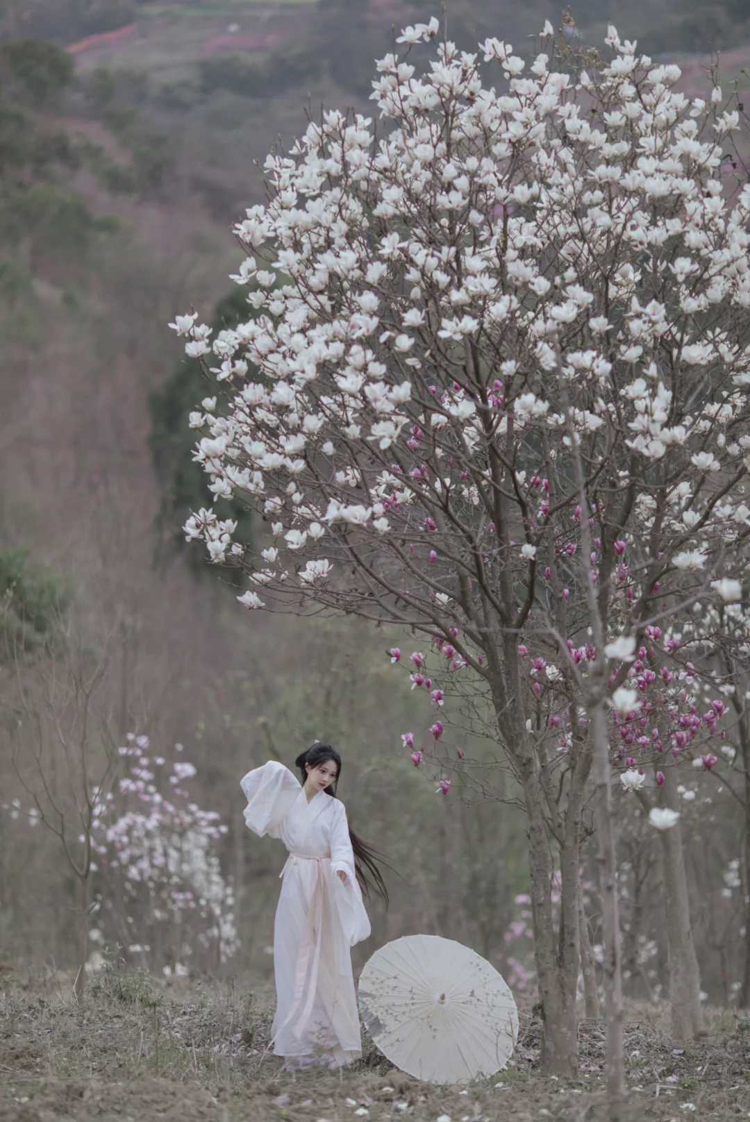 花开花落花无悔~