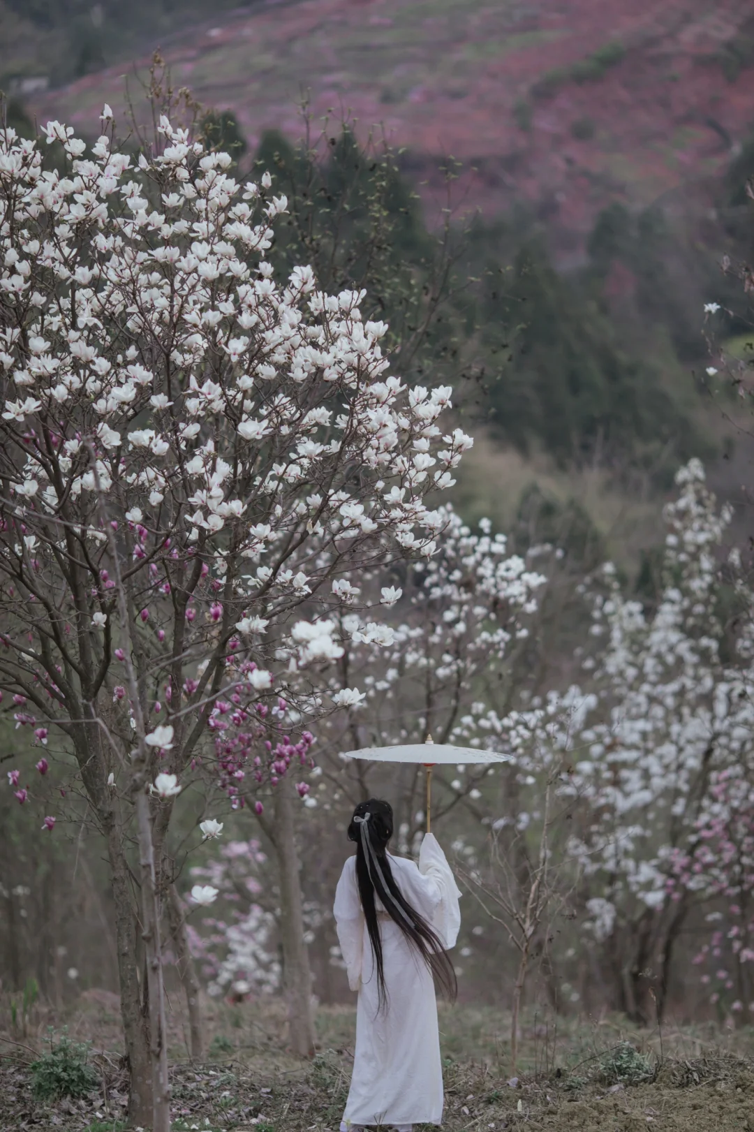 花开花落花无悔~