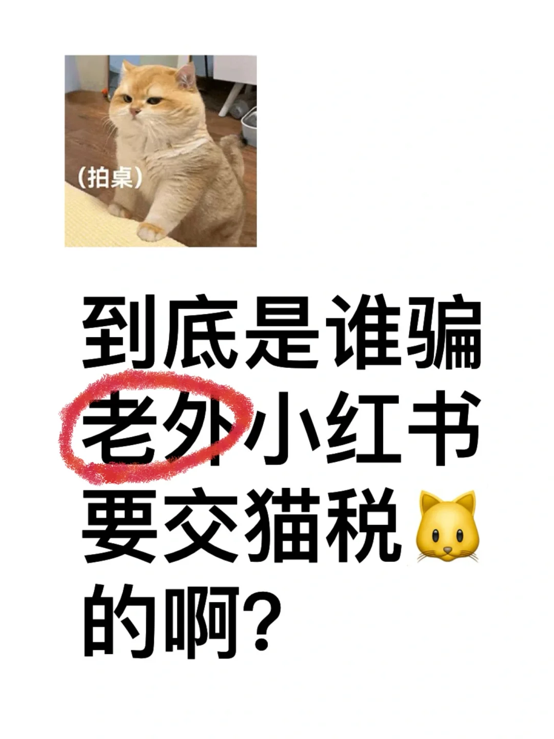 到底是谁骗老外要交猫税?税的啊？