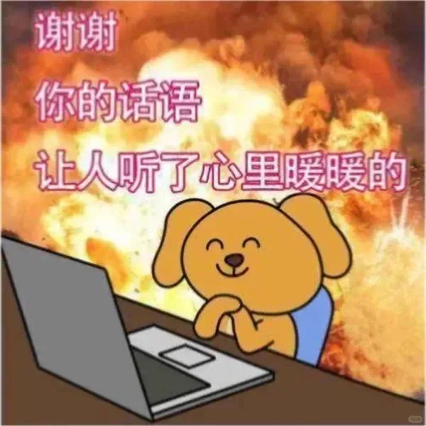 大笨狗搞怪搞笑表情包合集