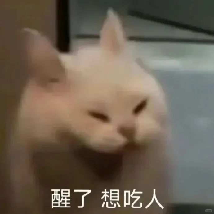 实用的猫猫狗狗表情包