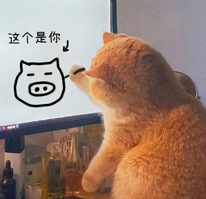 无字猫猫表情包