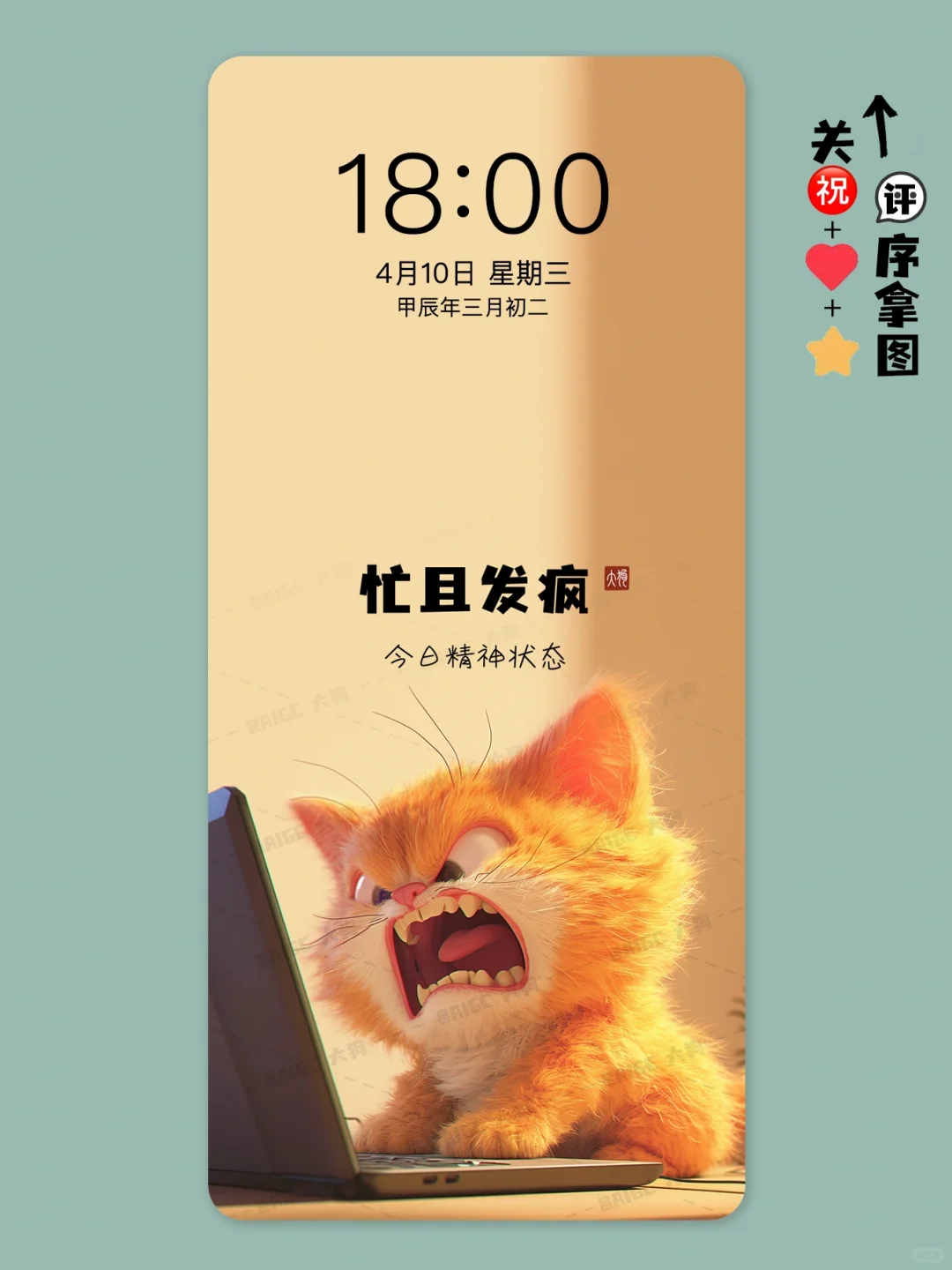 太可爱治愈了叭！圆不溜丟的大橘猫又来啦！