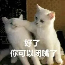 实用的猫猫狗狗表情包