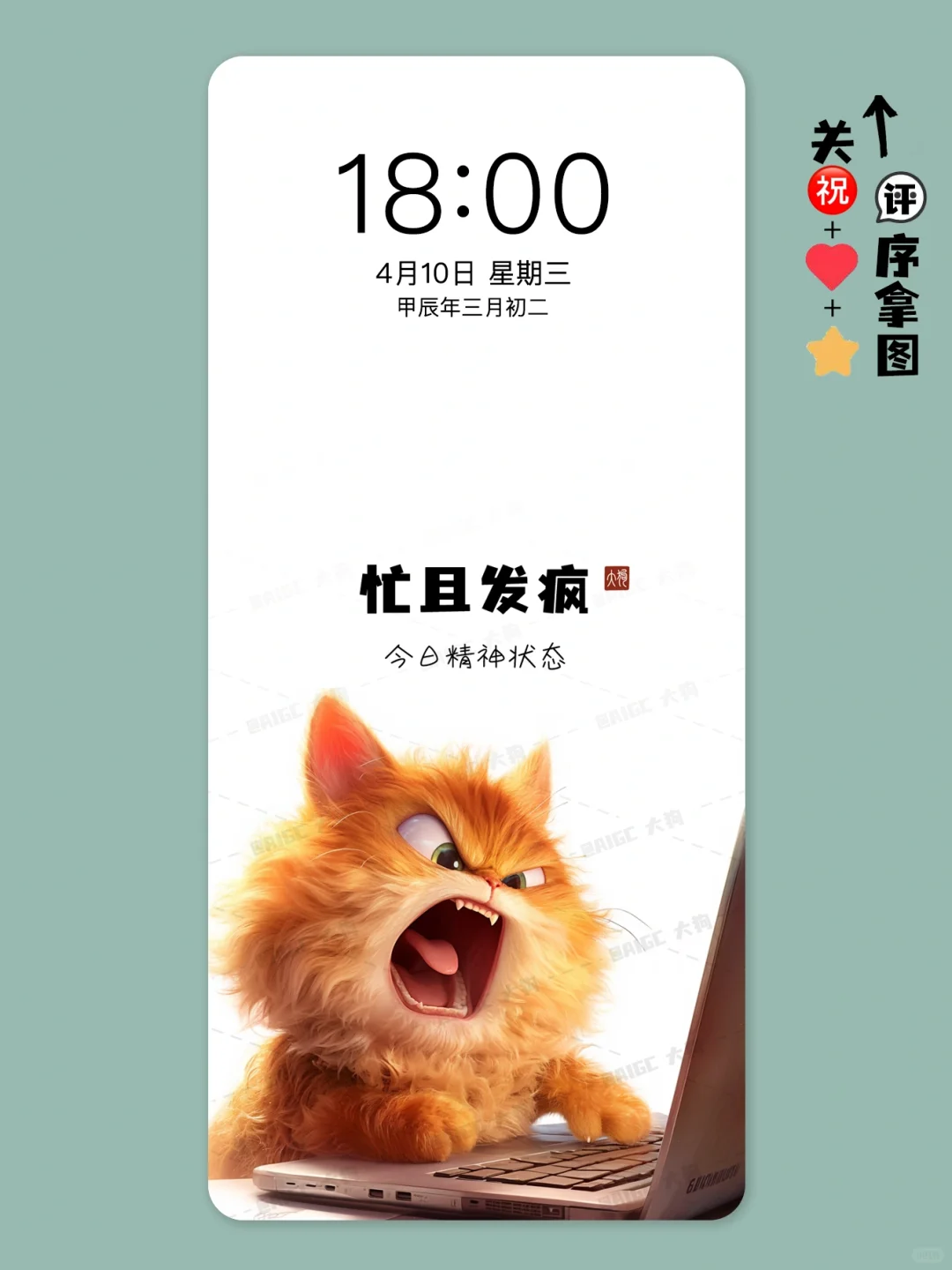 太可爱治愈了叭！圆不溜丟的大橘猫又来啦！