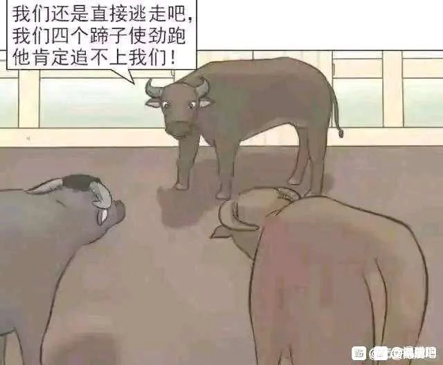 卡路里