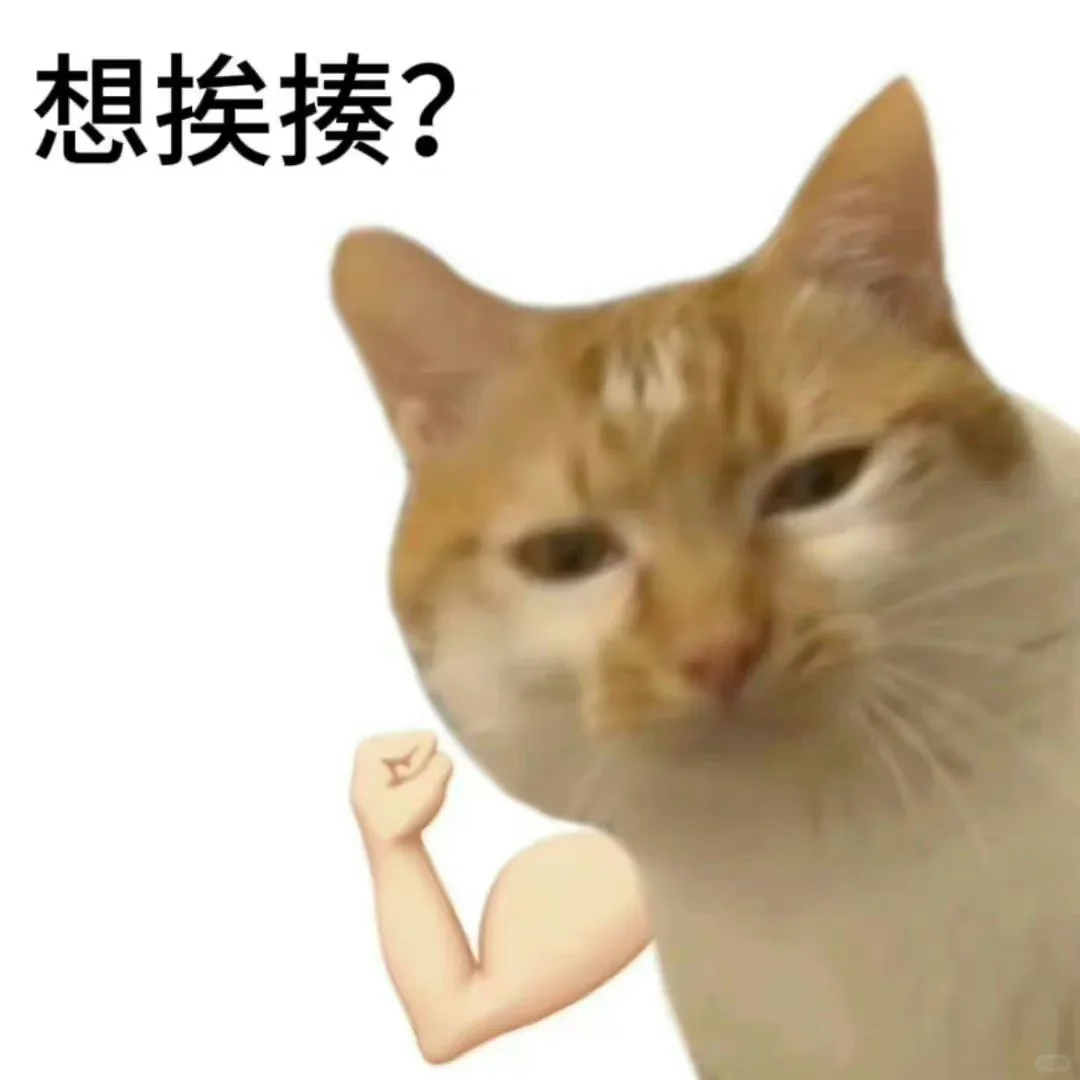 表情包【19】白底小猫表情包