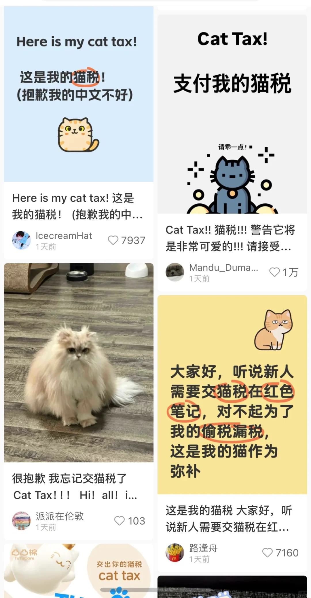 到底是谁骗老外要交猫税?税的啊？