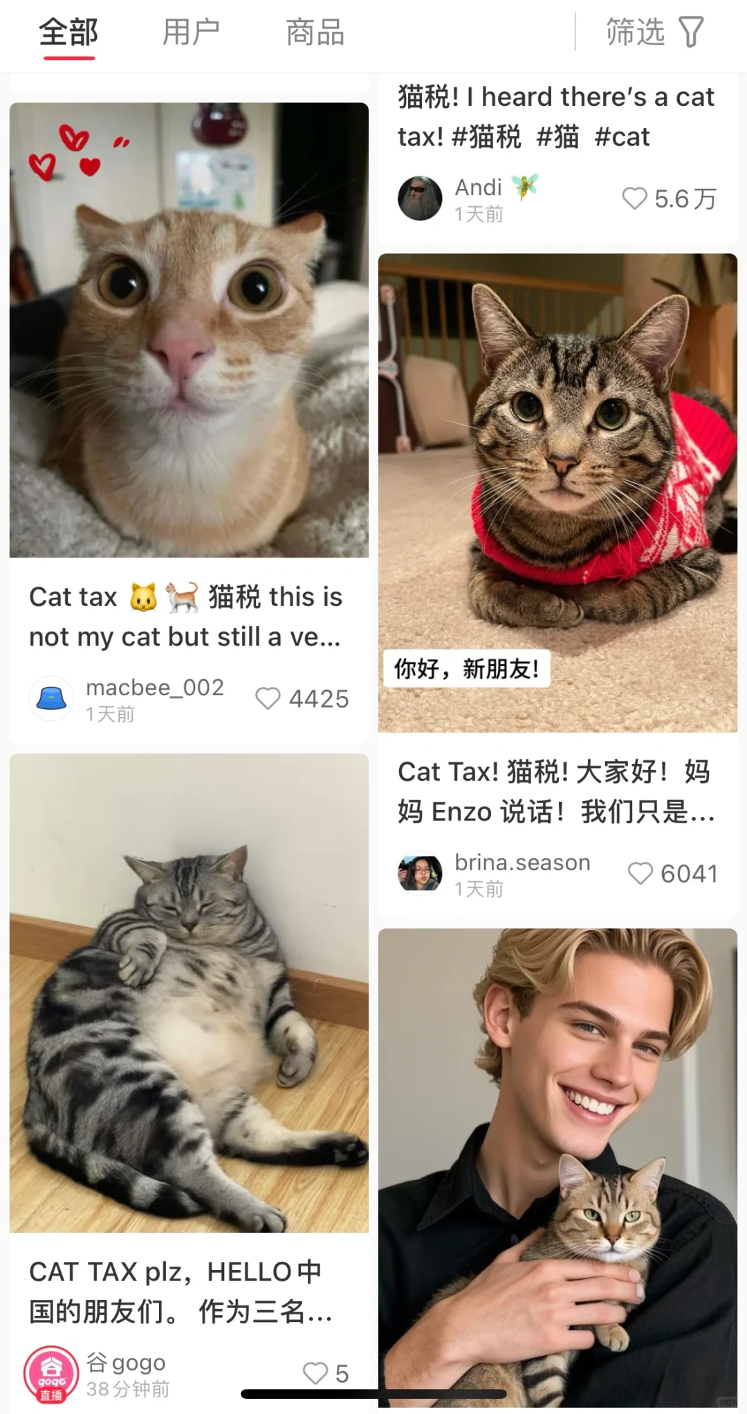 到底是谁骗老外要交猫税?税的啊？