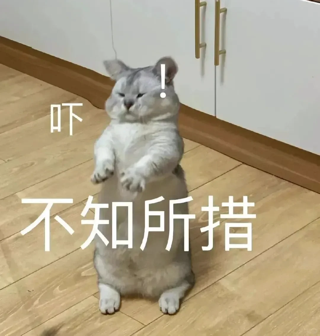 实用的猫猫狗狗表情包