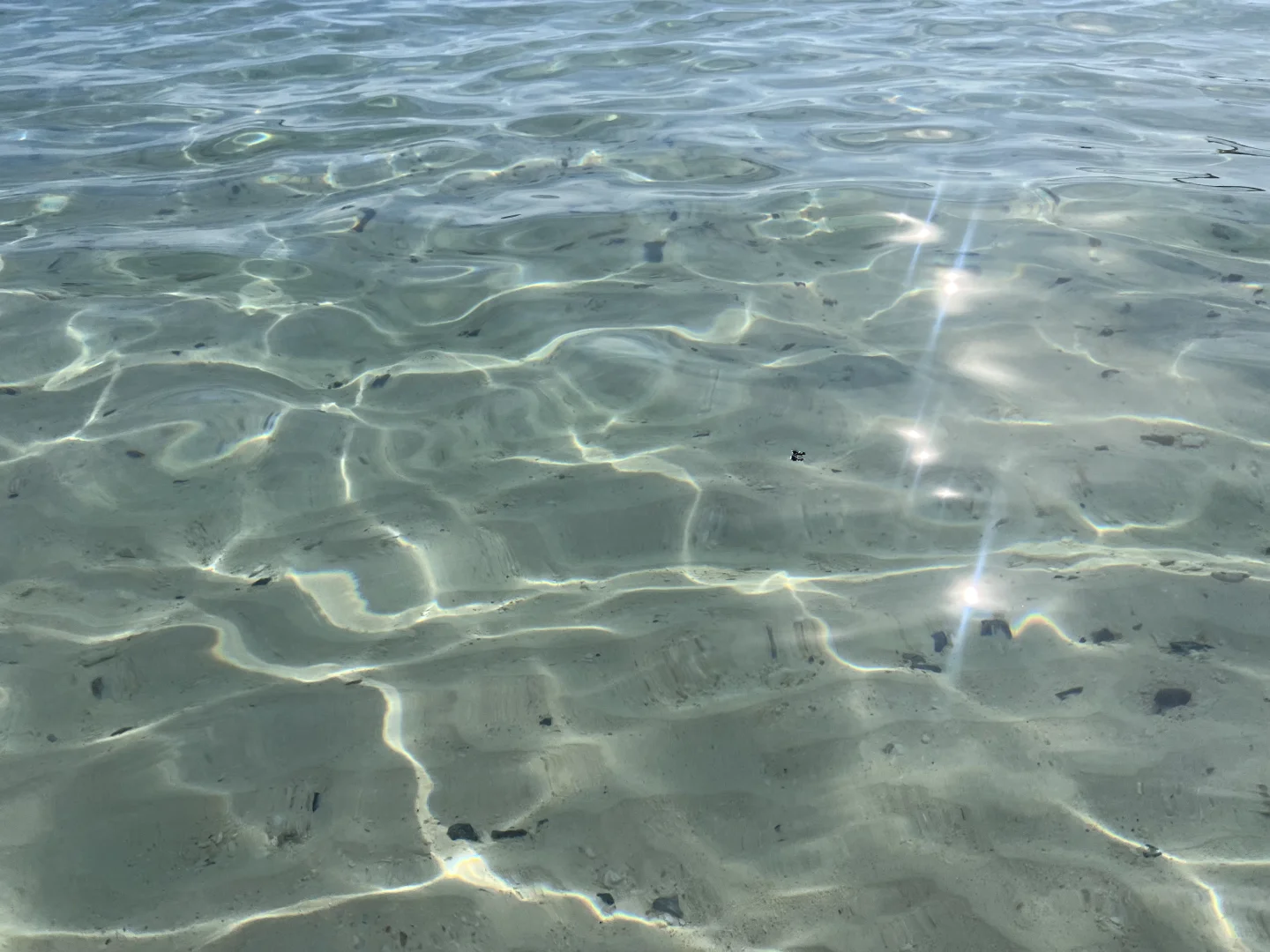 海岛日记🌊🐚