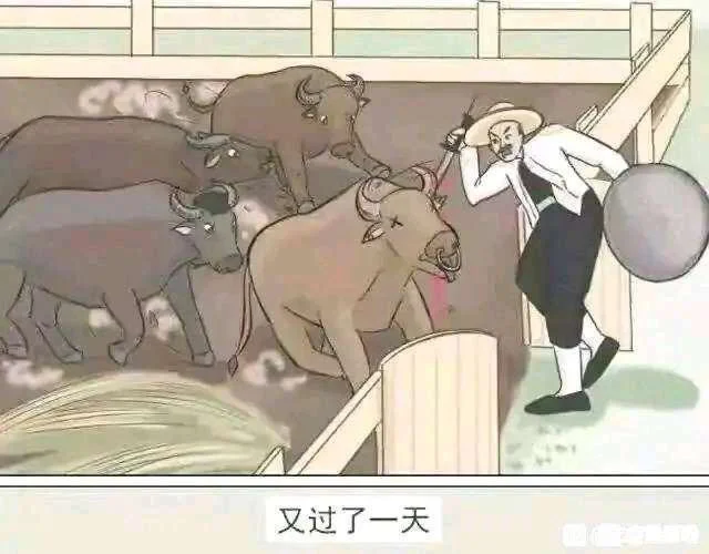 卡路里