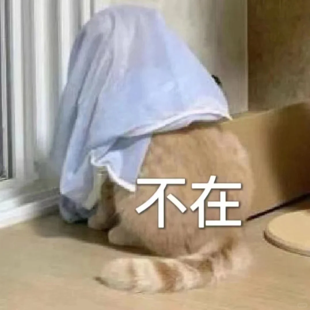 不在