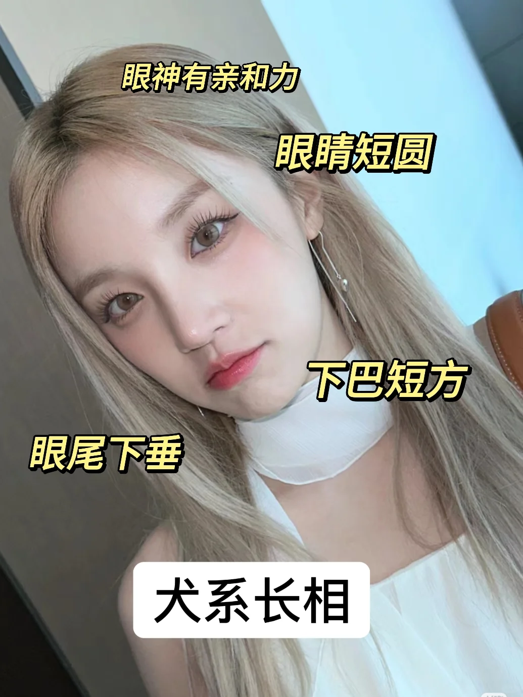 揭秘！你是哪种系别的美女？超准长相分析