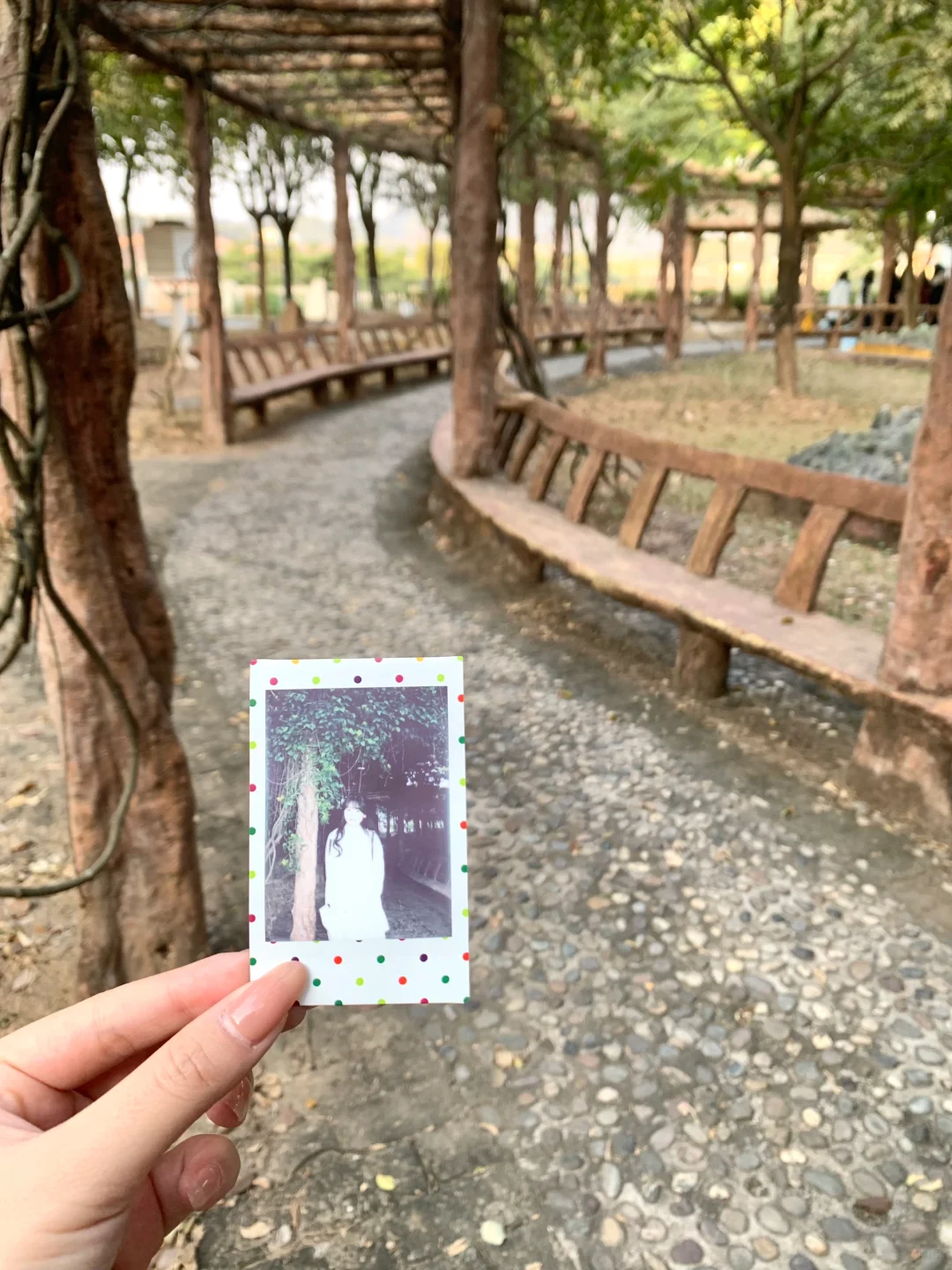 女大学生回高中日记?