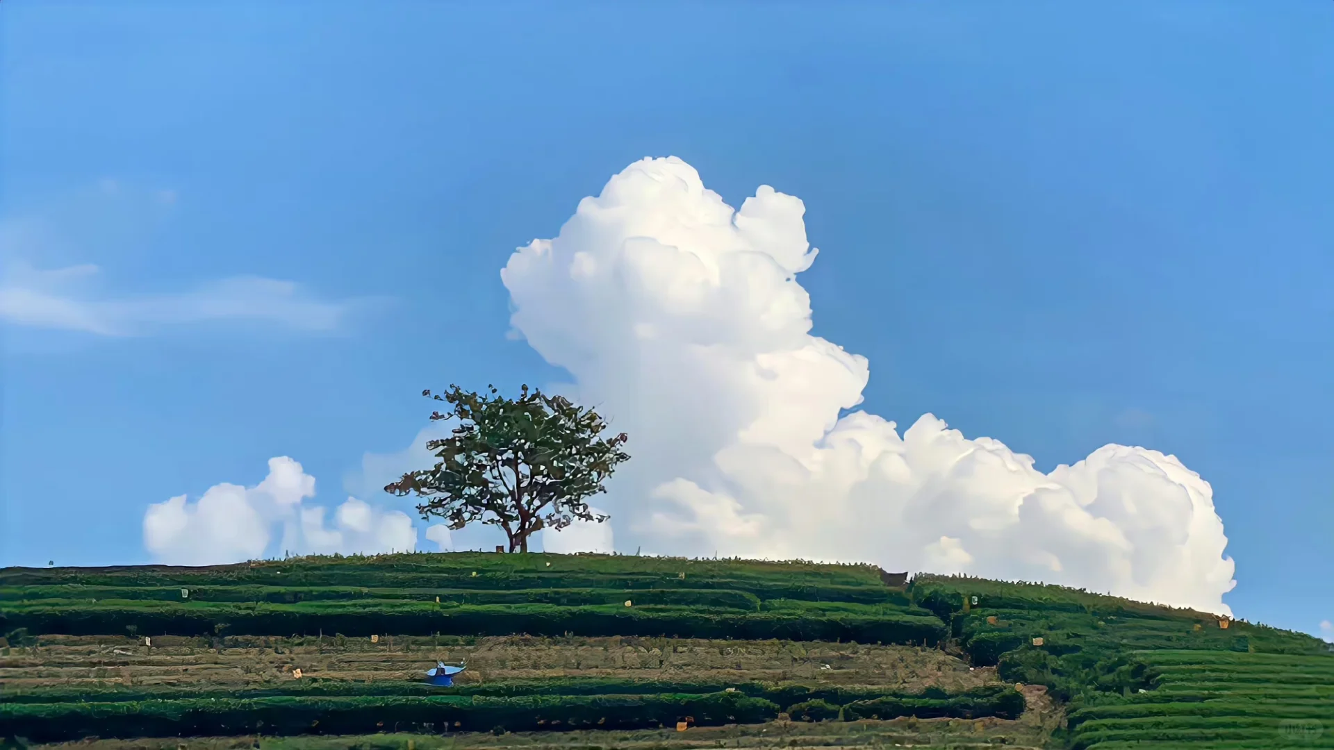 电脑壁纸/iPad壁纸