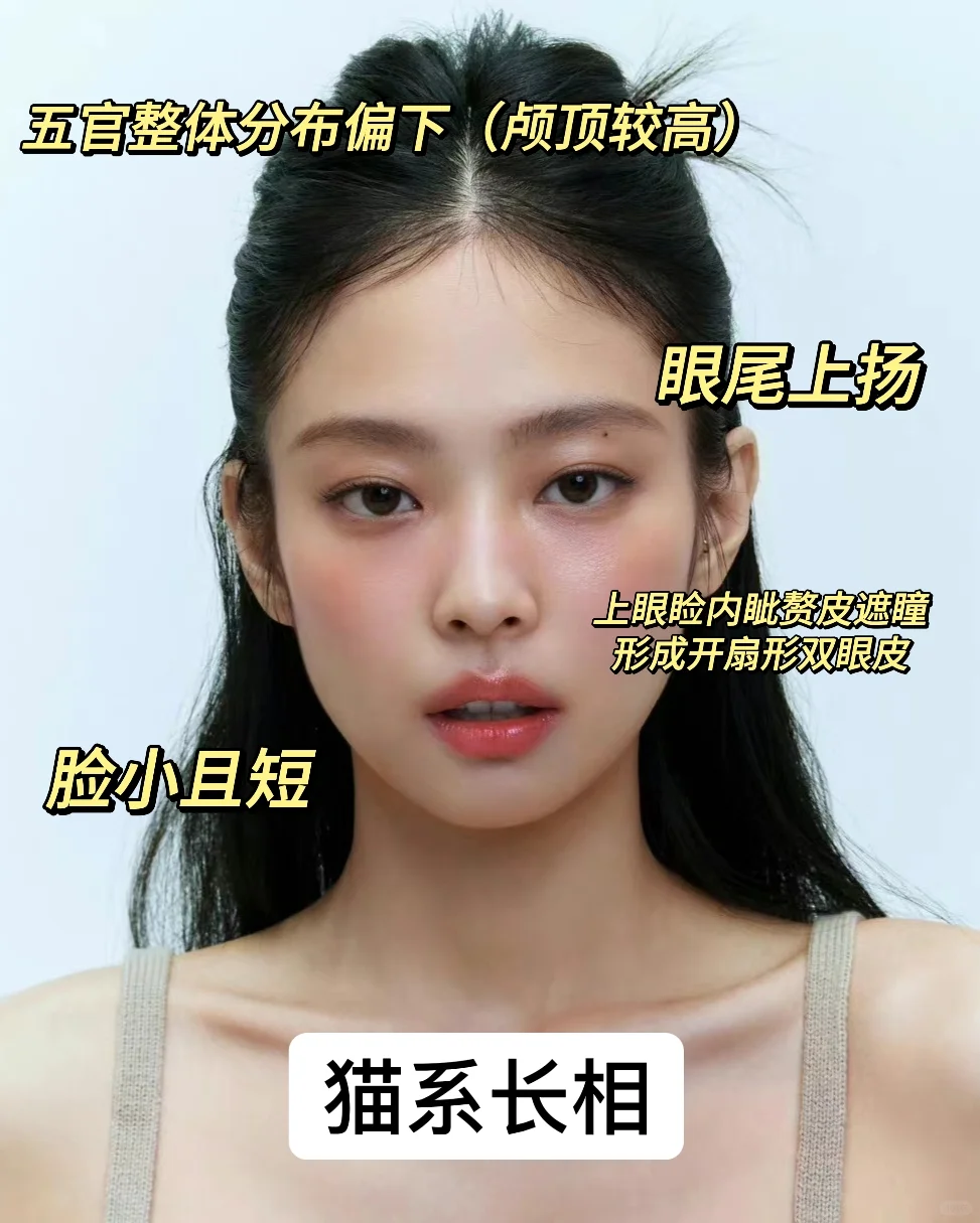 揭秘！你是哪种系别的美女？超准长相分析