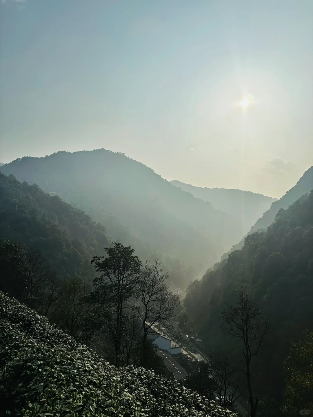 徒步午潮山| 要健康 要户外 要拥抱大自然⛰️