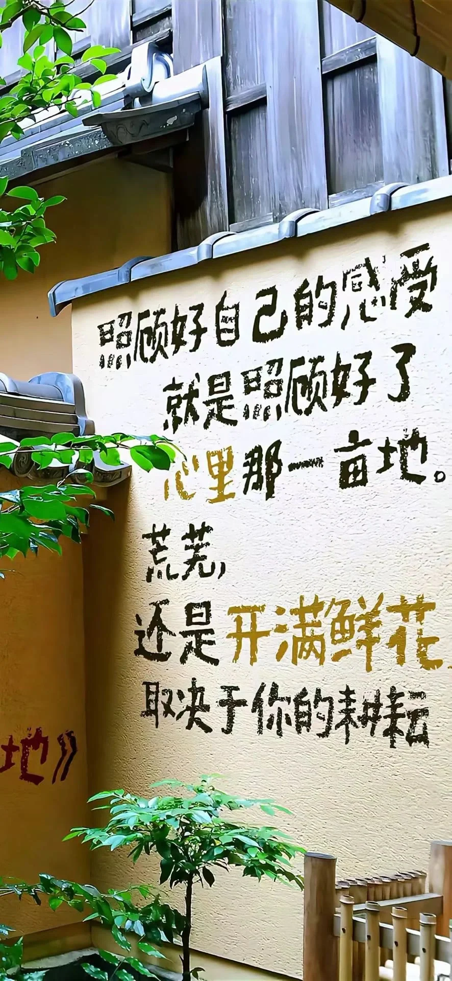 高级感全屏壁纸‼️