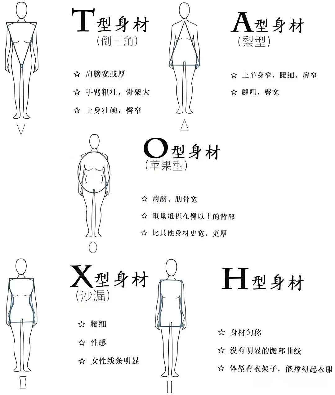 你属于哪种腰型？什么胚型