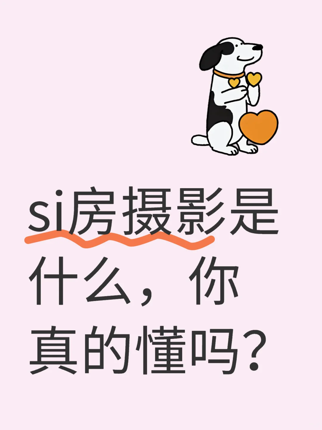 si房摄影是什么，你真的懂吗？