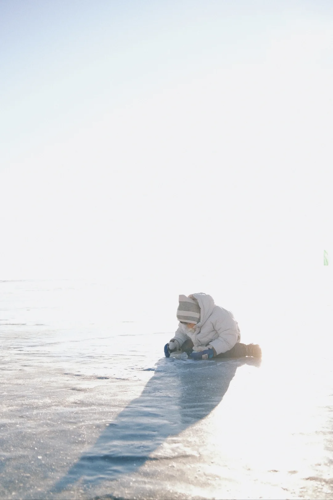 反向旅游呼伦贝尔..追一场北国的雪