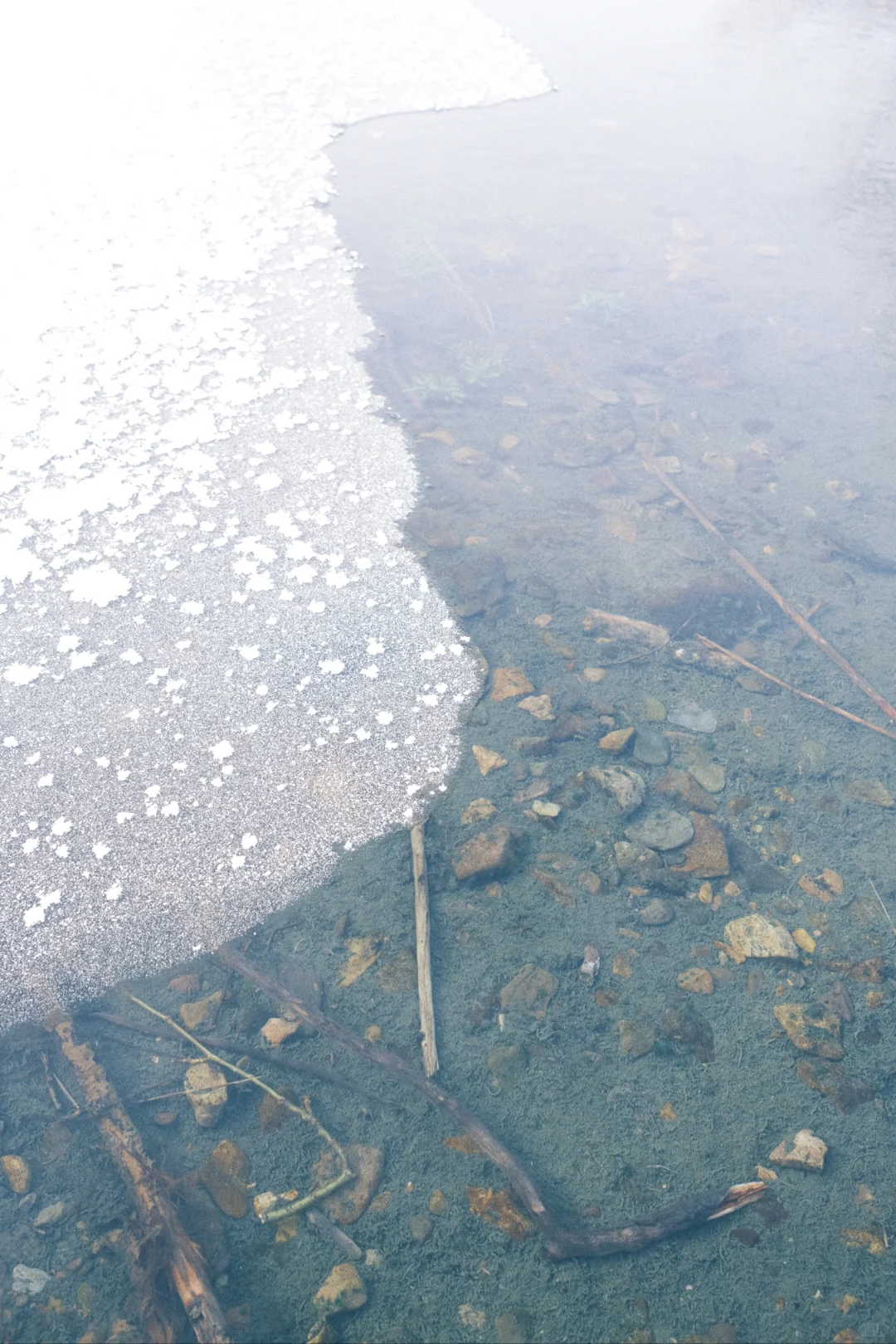 反向旅游呼伦贝尔..追一场北国的雪