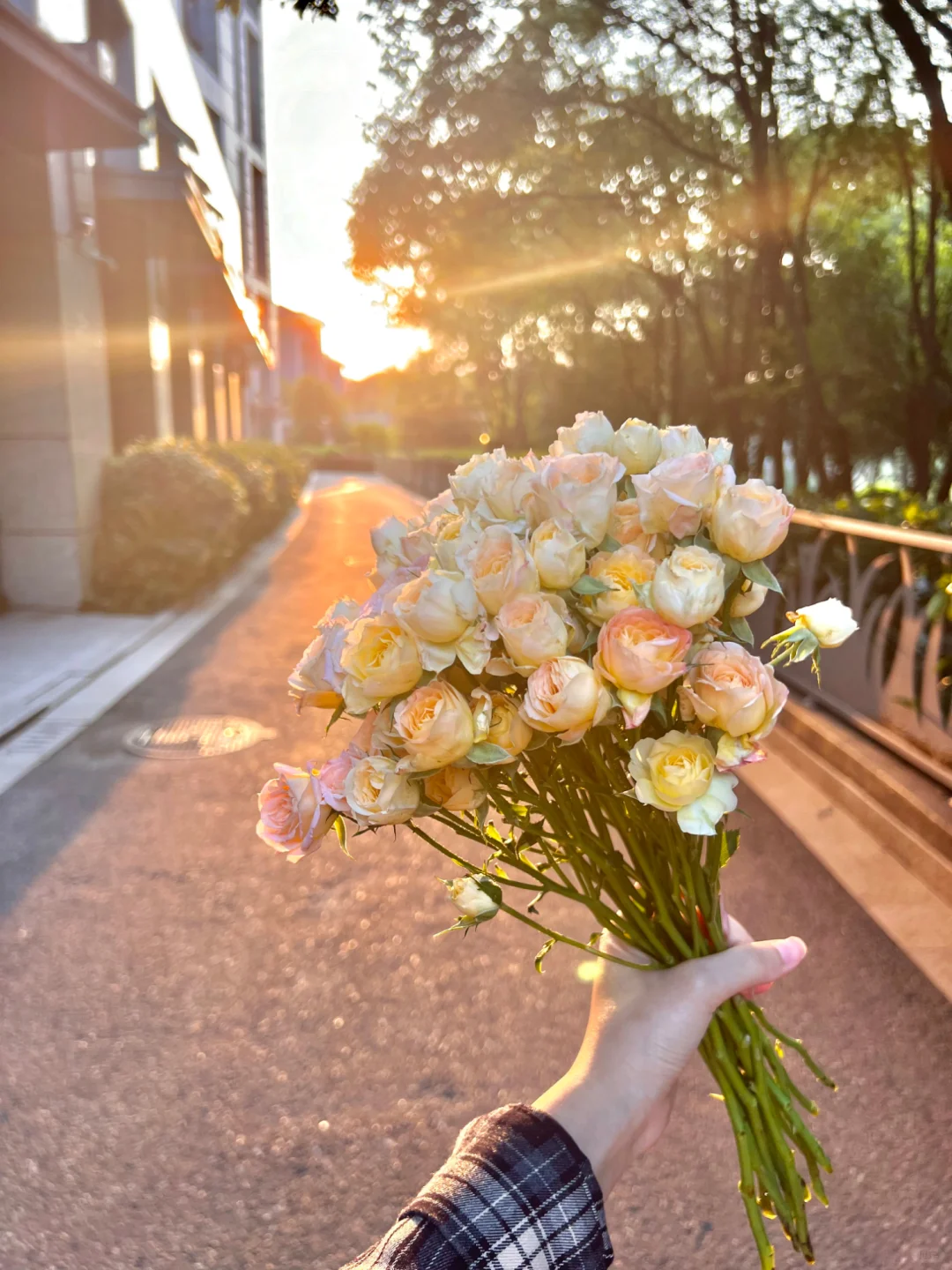 Sunset｜绝美电影感天空美景图片分享