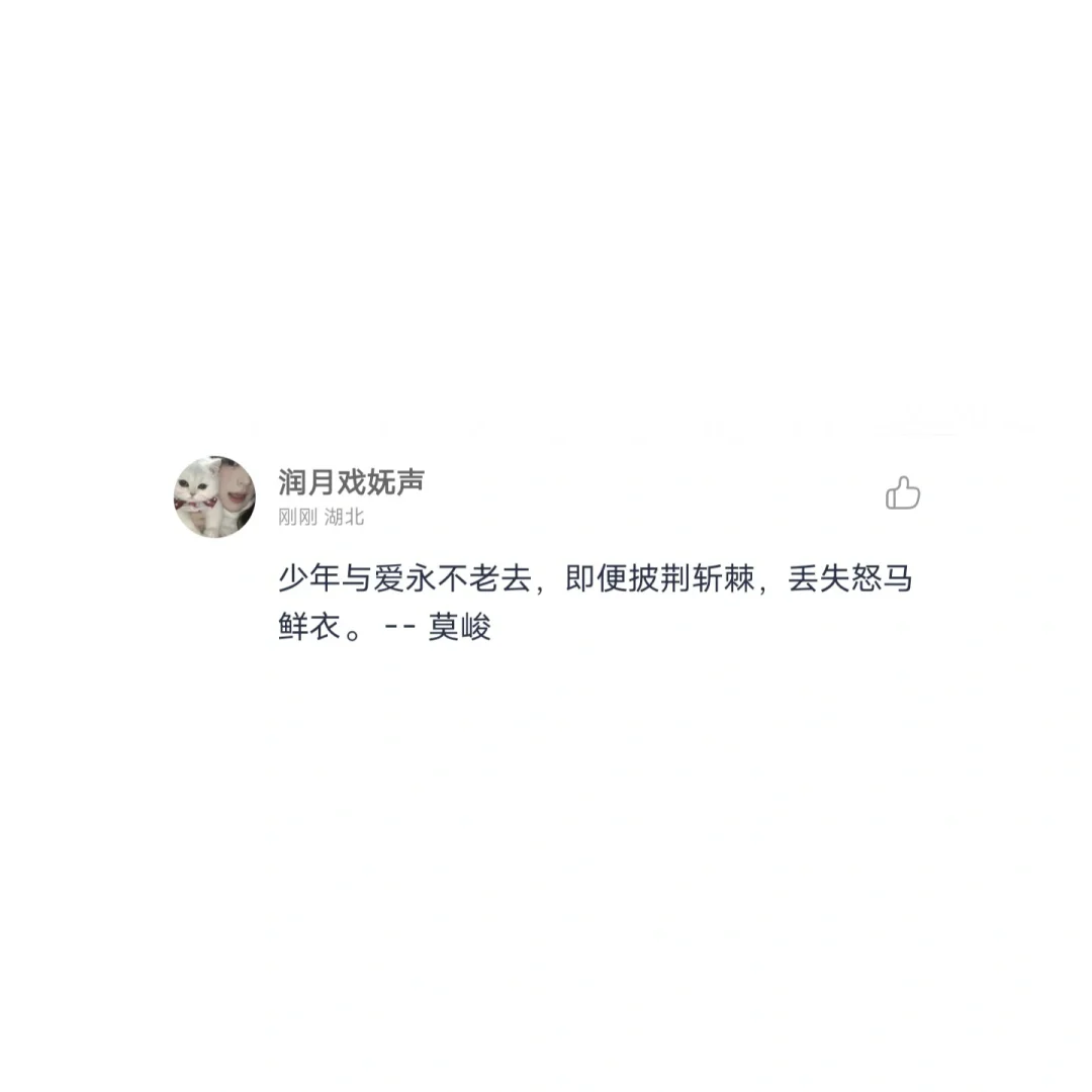 爱的惊艳句子