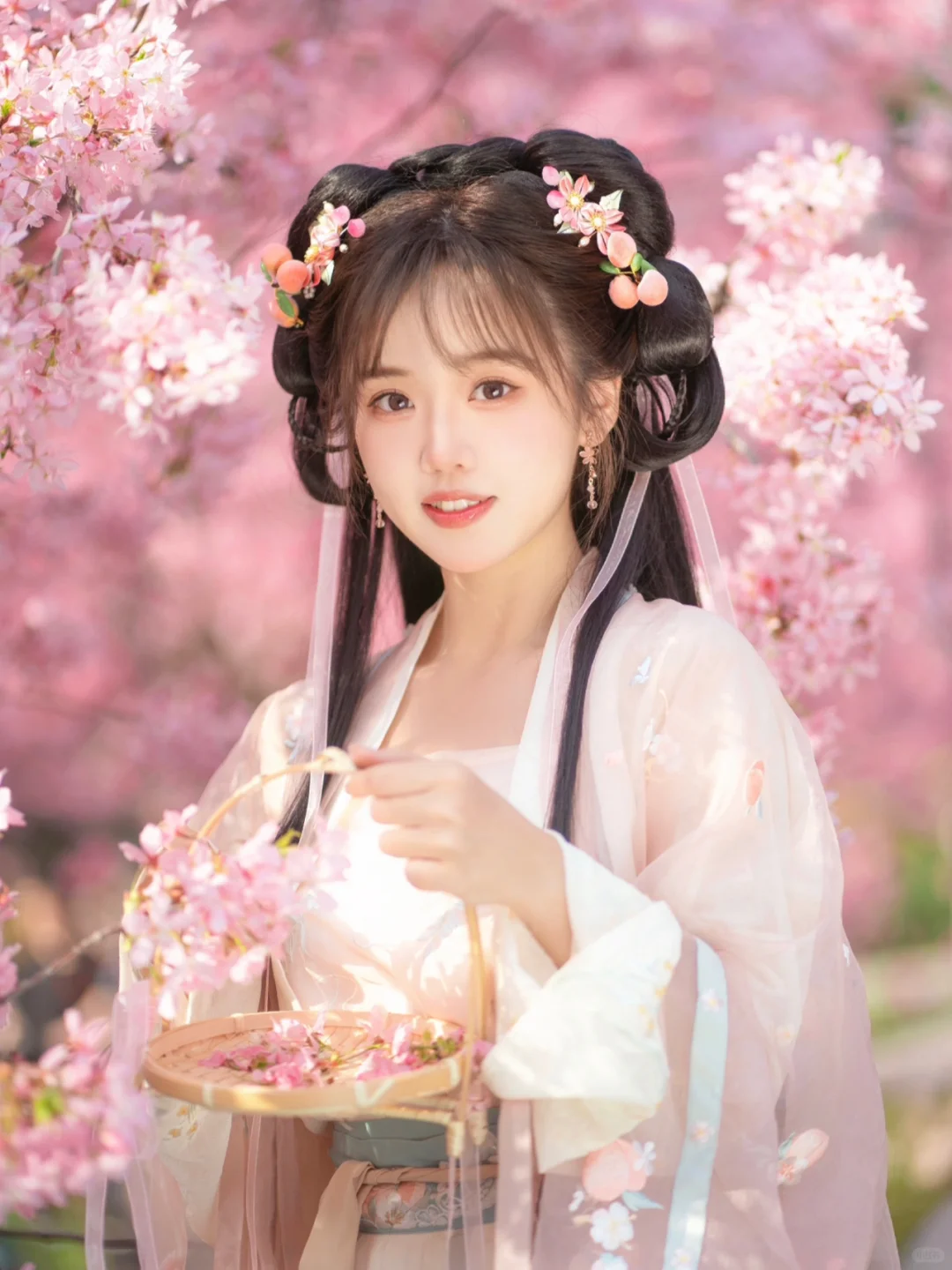 汉服樱花🌸｜又娇又俏的邻家小妹～