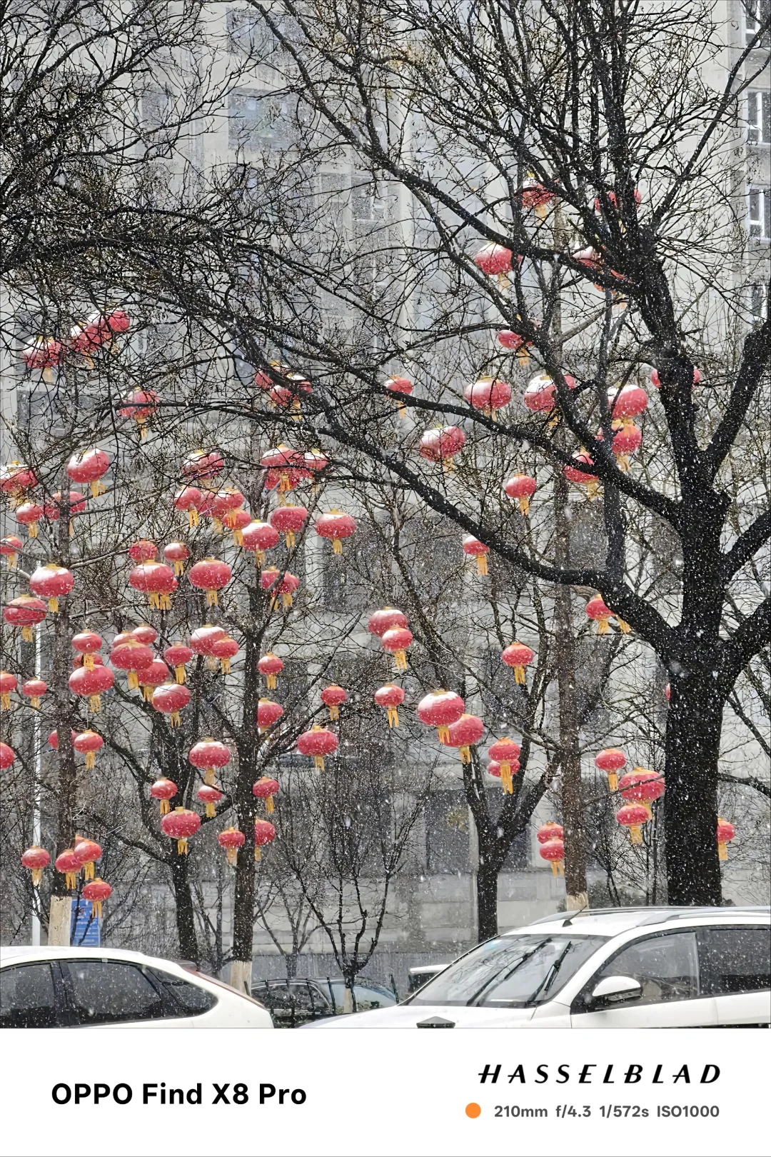 尊嘟下雪啦!西安下雪天楼下氛围照来喽