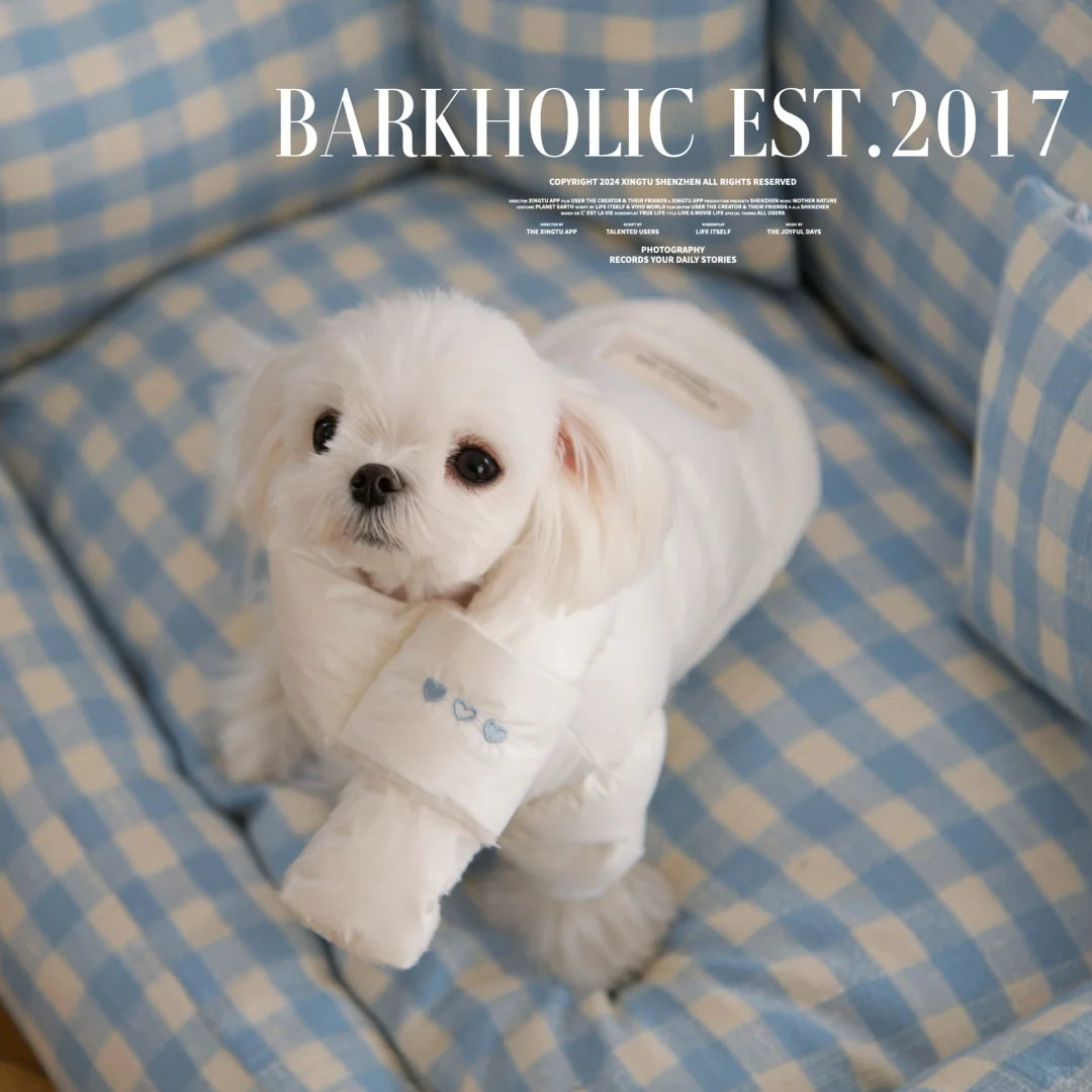 Barkholic春节送羽绒服活动来啦