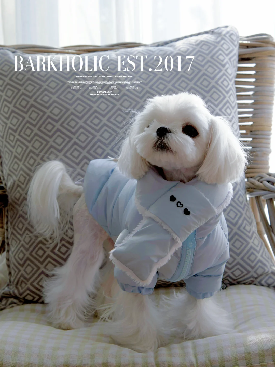 Barkholic春节送羽绒服活动来啦