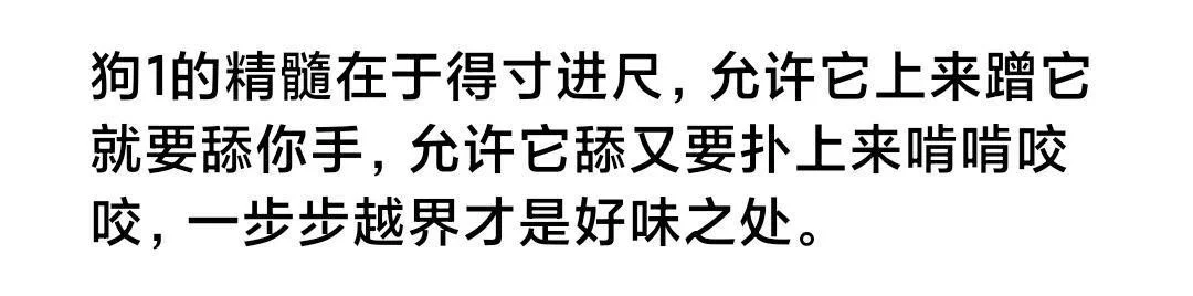 代餐|“我最讨厌狗，特别是你这种…”