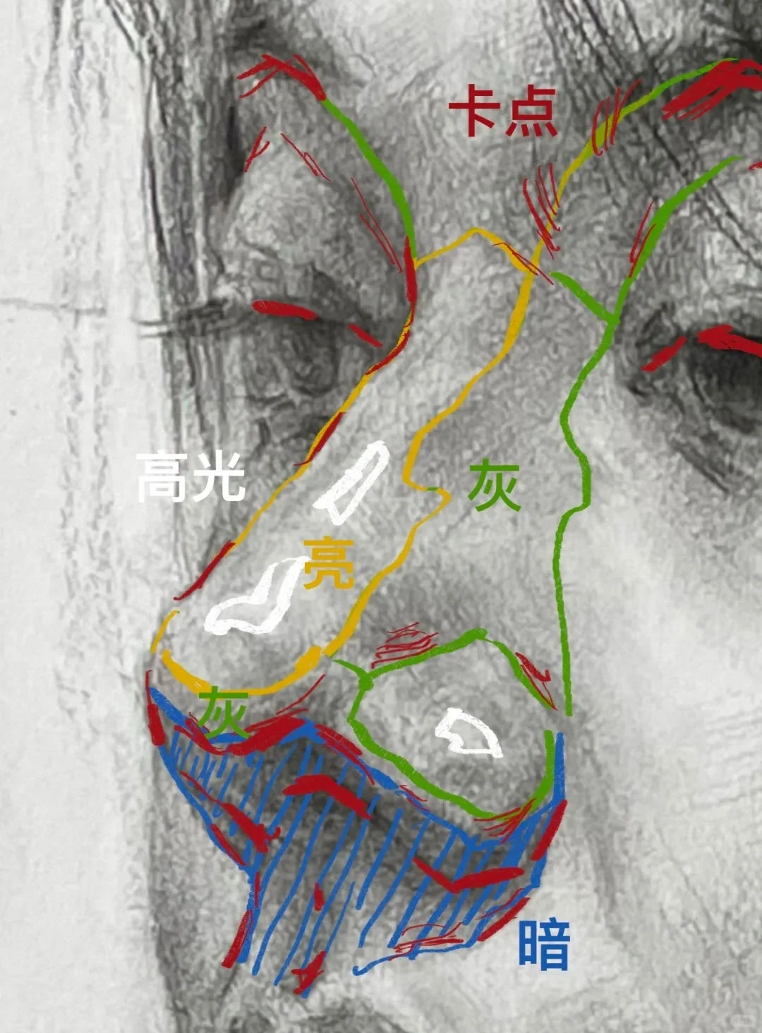 后悔没有早点知道的画素描五官秘诀