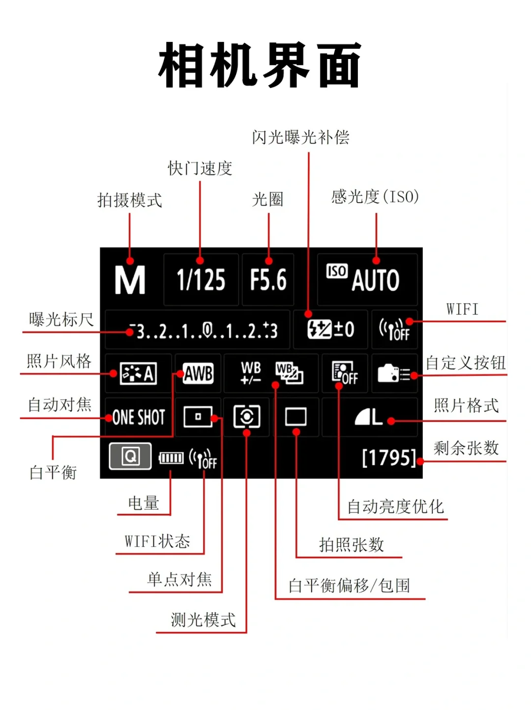 摄影拍照能力强的女生能有多飒！