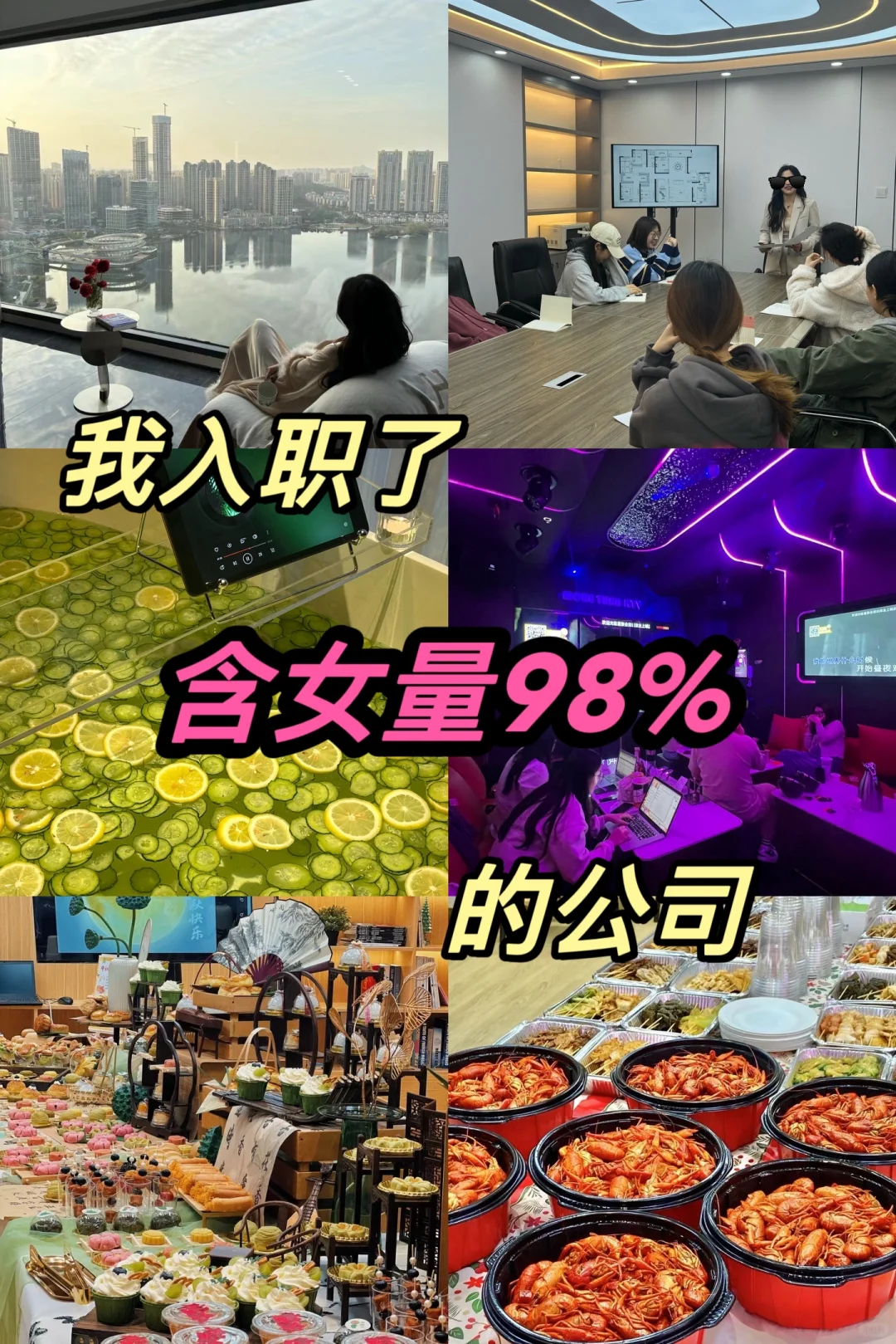 当我入职了含女量98%的公司.....