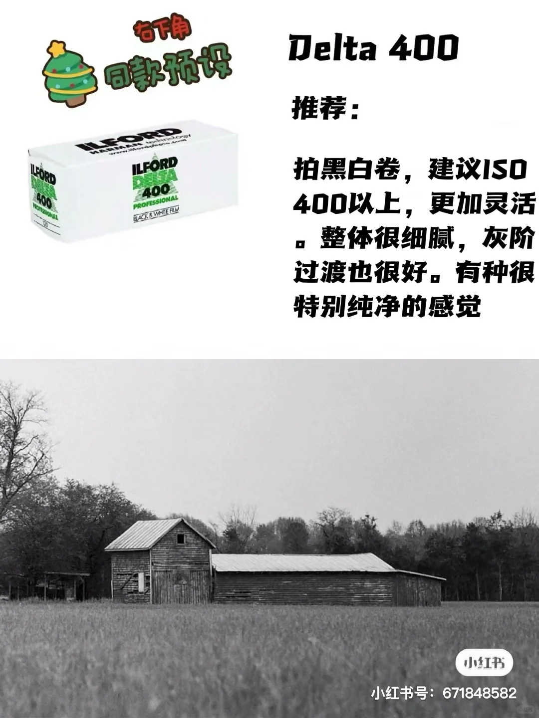 纯干货｜全网最全的胶卷合集来了‼️更新中