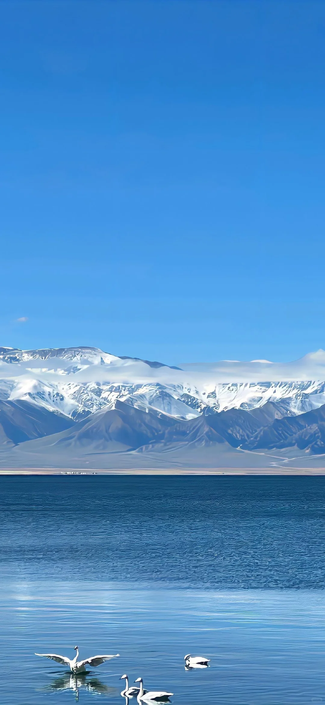 丨奔赴热爱，不惧山海