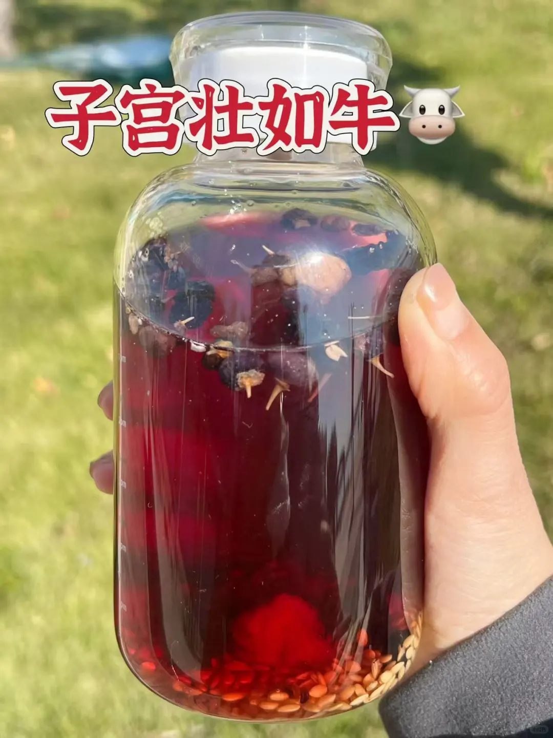 连喝一个月！天然黄体酮茶（补雌很猛）