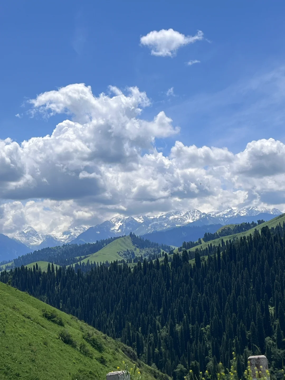 山高路远 看世界也找自己~🏔