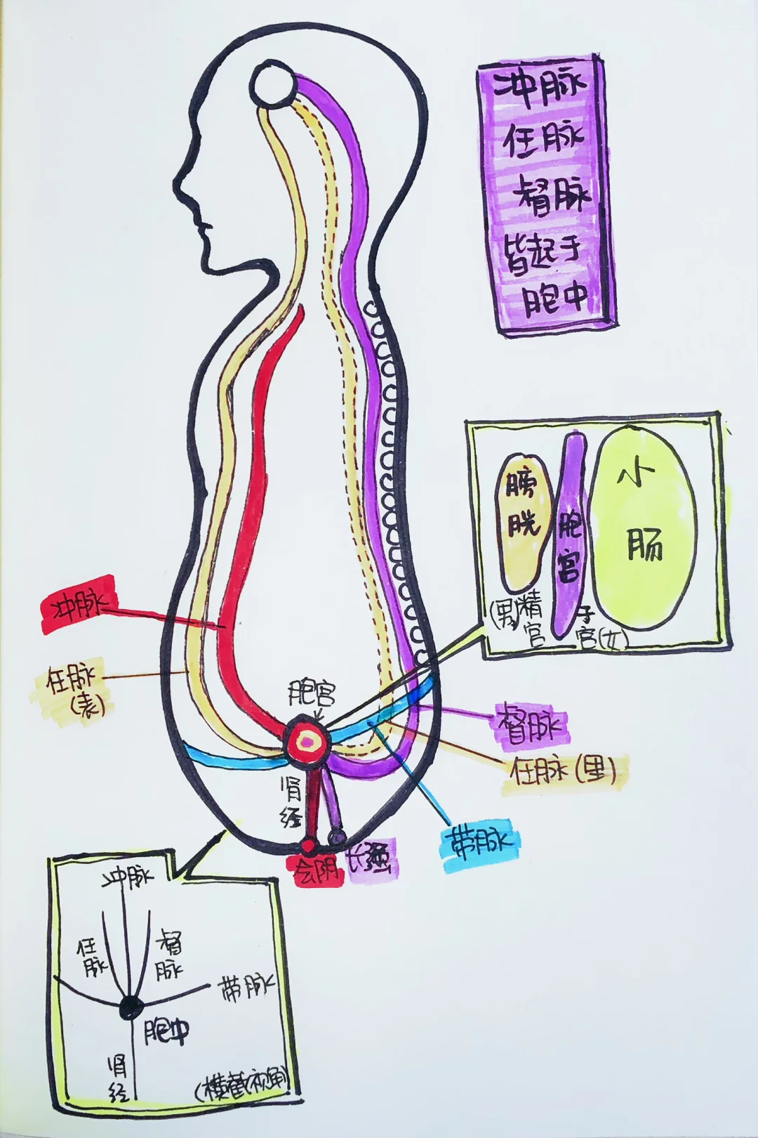 现代紧身瑜伽服：一场呼吸和自由的谋杀