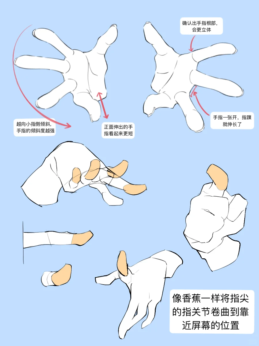 人体笔记|想给手来个大透视怎么画