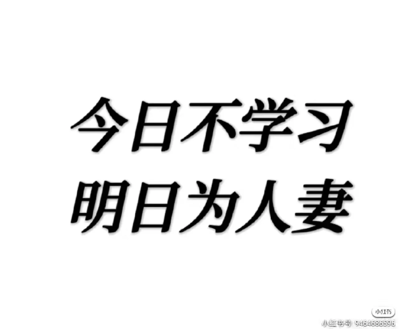 今日不学习明日为人妻第43天